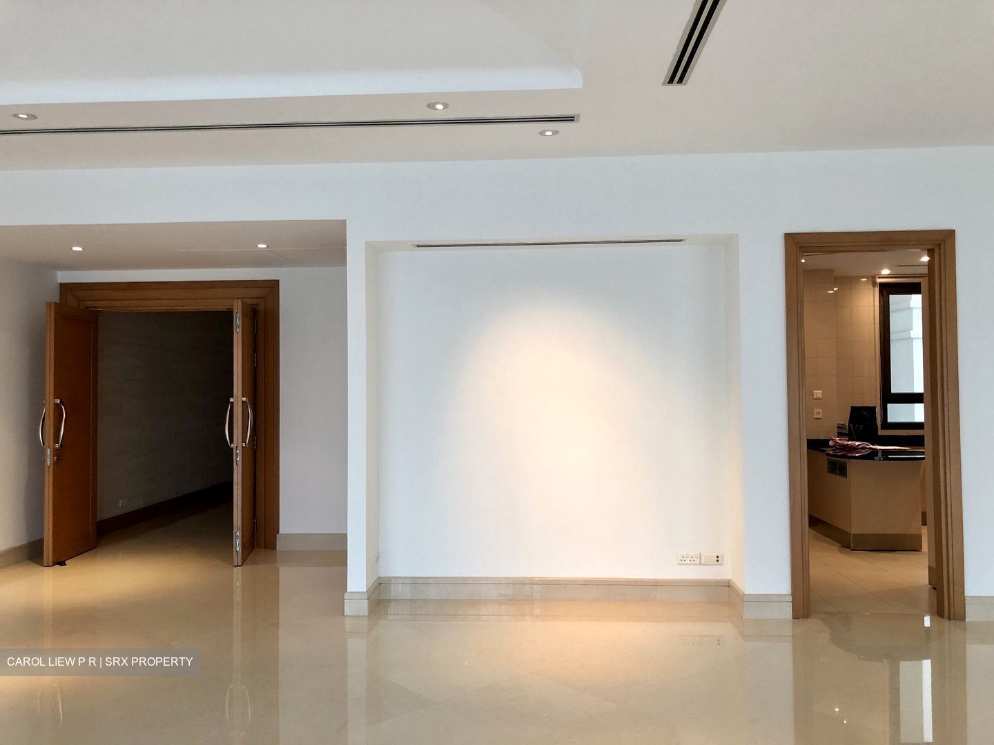 Ardmore Park (D10), Condominium #390700101